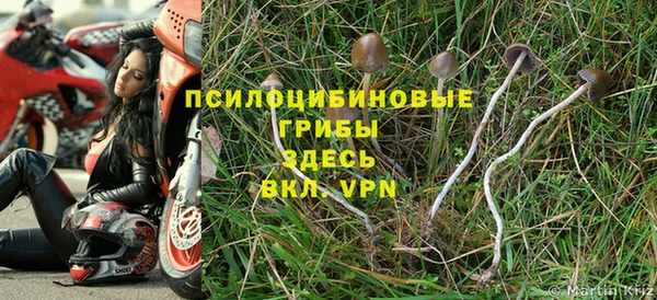 кокс Баксан
