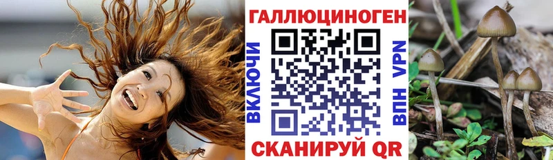 Галлюциногенные грибы MAGIC MUSHROOMS  купить   ОМГ ОМГ ONION  Губкин 